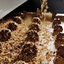 Assorted chocolate Rochers